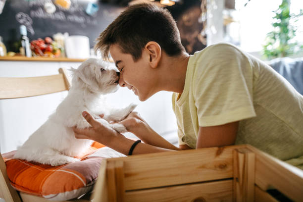 istock Snuggling with his pet dog 1179742133