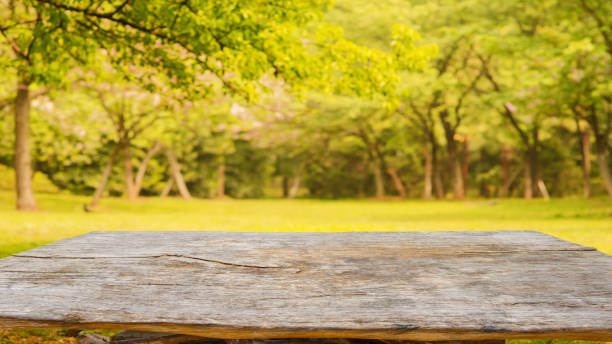 istock Old wooden table with blur abstract background of autumn forest 1179742992
