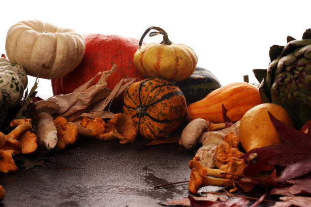 Diverse assortment of pumpkins on a rustic background. Autumn harvest.