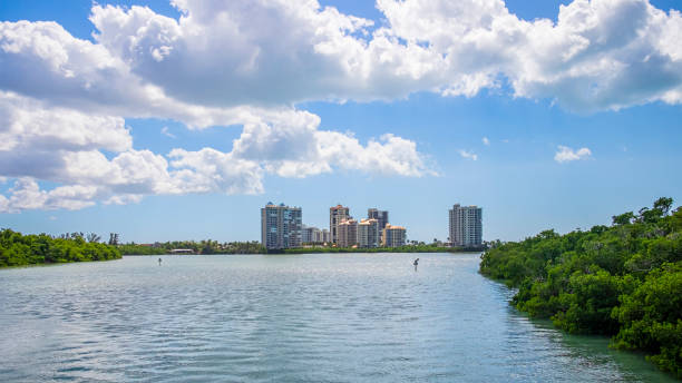 istock Clam Pass Park, North Naples - Florida (US) 1179745562