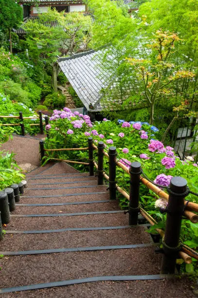 Japanese roof, steep stairs and hydrangea