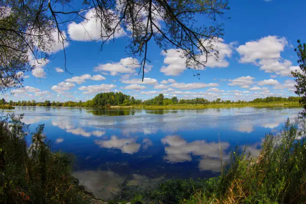 the loire valley between castle and wild nature