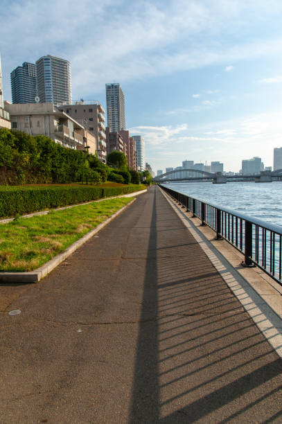 istock A sidewalk with shadows of straight railings 1179747886
