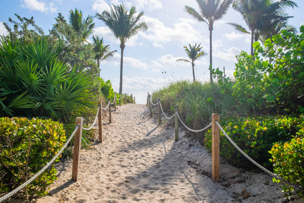 istock South Beach (SoBe), Miami Beach - Florida (US) 1179748114