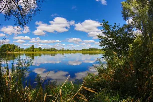 the loire valley between castle and wild nature