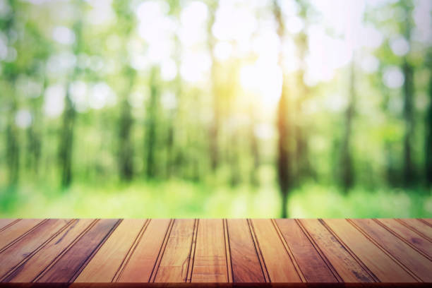 istock empty wood table on blur forest background for design product 1179749994