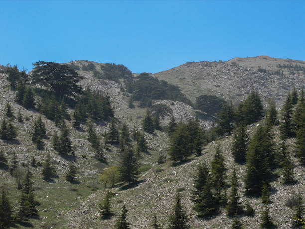 istock Beautiful Nature in Shouf district Lebanon 1179751549