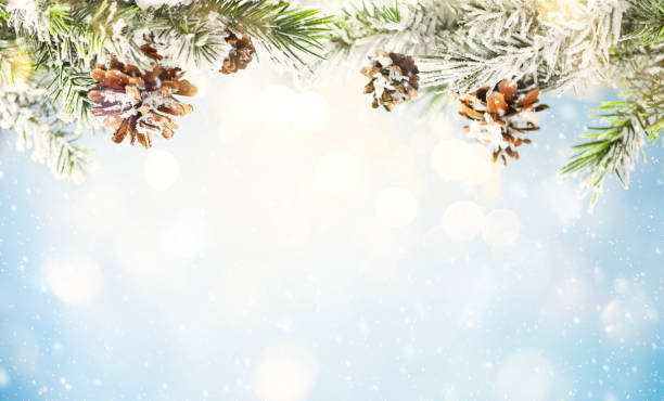 istock Christmas fir tree branches with pine cones on blurred blue background. 1179752222