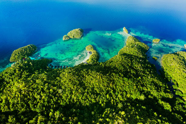 istock An island in the ocean 1179756286