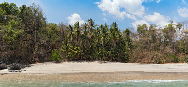 istock beautiful sandy beach on the island cebaco panama 1179757129