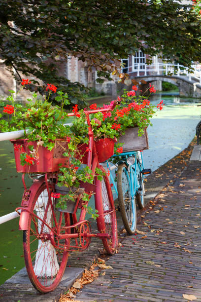 istock Red and blue bicycles with flowers in Delft 1179758443
