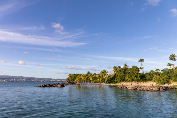 11 sep 2019-les trois-ilets, martinique, fwi-praia caribenha em la pointe du bout - pointe du bout - fotografias e filmes do acervo