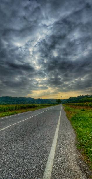 istock Country Road in the morning 1179761193