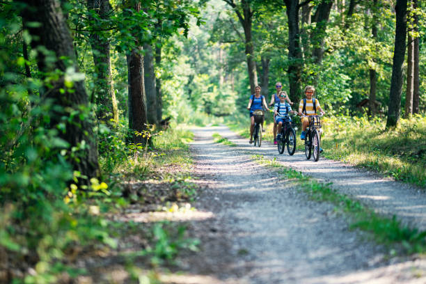 семья, наслаждающаяся поездкой на велосипеде - cycling bicycle forest nature стоковые фото и изображения