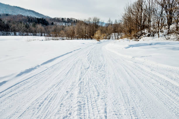 istock Tire tracks on the road through forest 1179762578