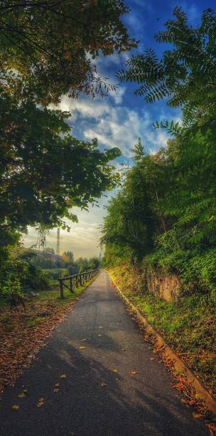istock Country Road in the morning 1179763009