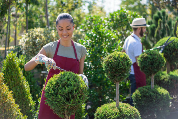 istock Charming young people working in the garden 1179764371