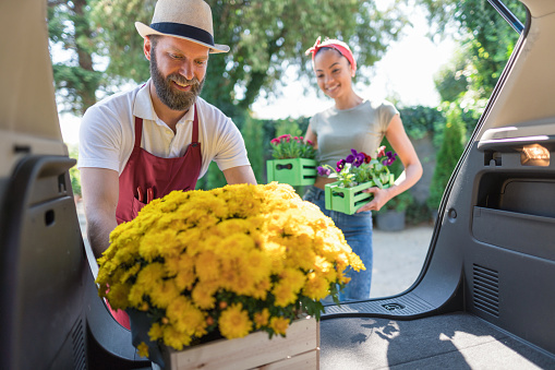Charming gardener helping a client with loading flower crates in the car trunk