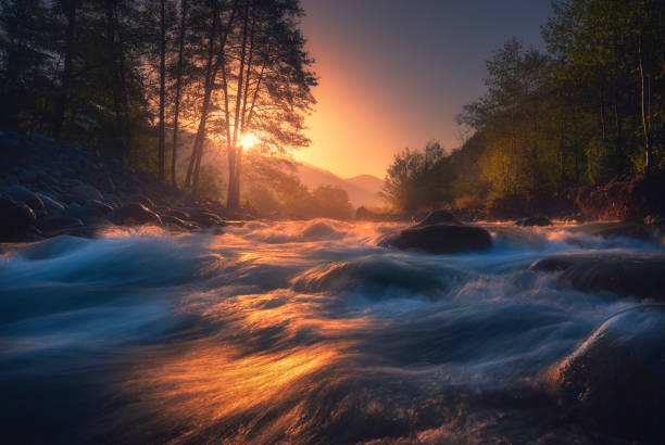 istock Beautiful fast river in mountain forest at sunrise 1179764481