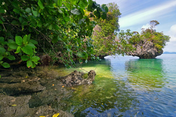 Picture of beach in Phak Bia Island, Koh Phak Bia, Krabi, Thailand