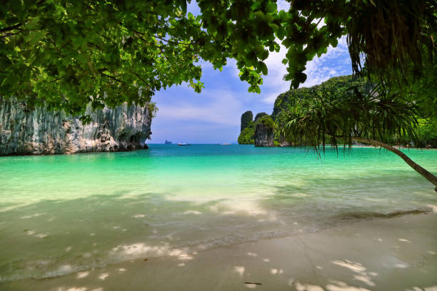 istock Koh Island, Thailand 1179765034