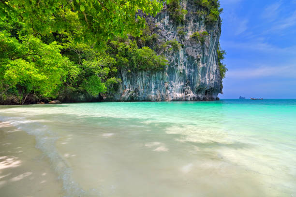 istock Beach in Koh Island, Thailand 1179765053