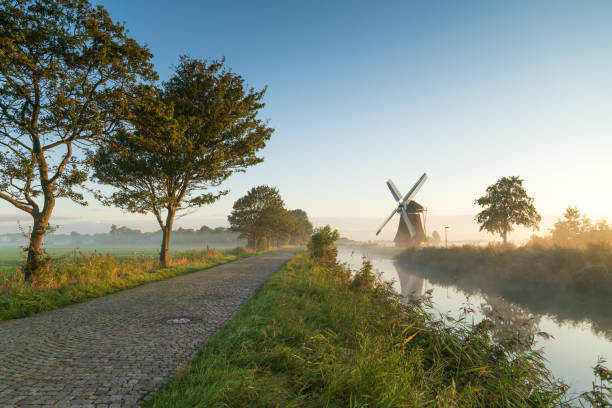 rural holland - polder field meadow landscape imagens e fotografias de stock