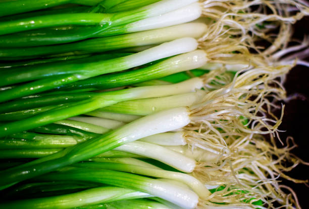 istock Green onions with roots. Spring onion on cutting board, looking from above. 1179770225