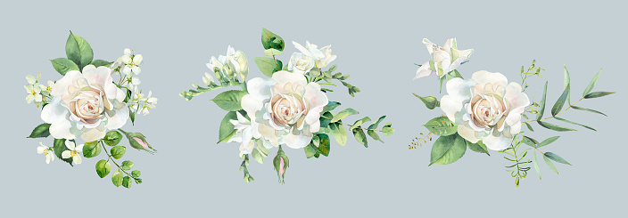 Watercolor composition of roses on a gray background . For congratulations, invitations, weddings, birthday, anniversary, holiday