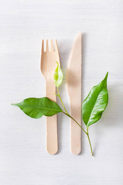 istock eco friendly wooden cutlery. plastic free concept 1179772614