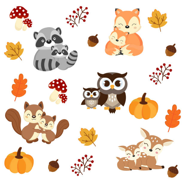 waldtiere hintergrund. waschbär, fuchs, eichhörnchen, eule und hirsch e-cartoon. - jungtier stock-grafiken, -clipart, -cartoons und -symbole