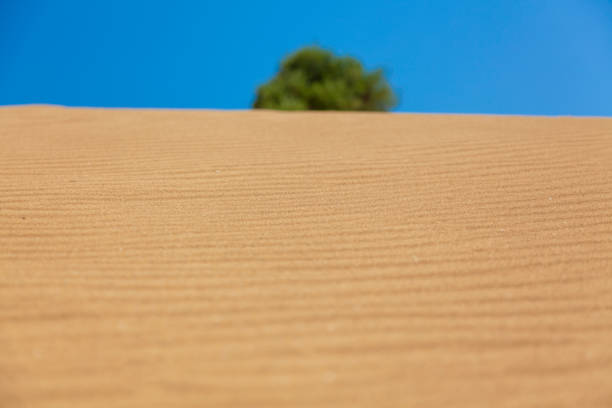 Lemnos desert - sand dunes in Lemnos island, Greece