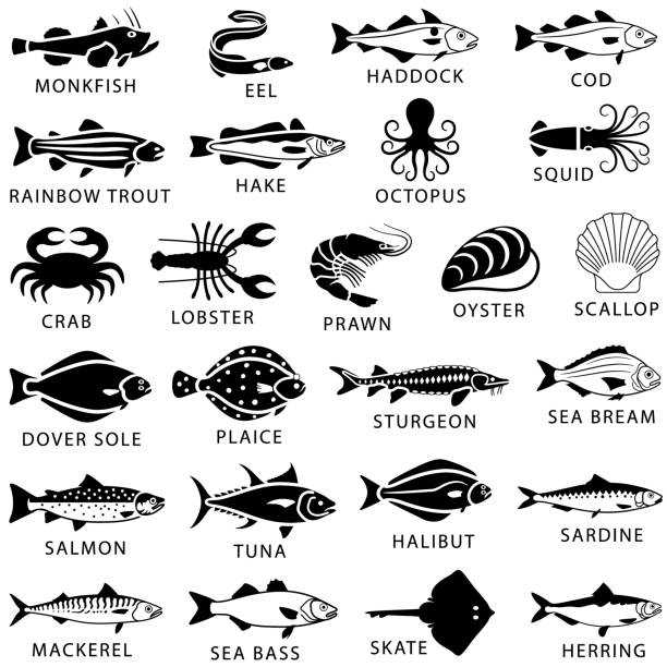 Seafood, fish and shellfish icons Common edible seafood, fish and shellfish icons. Single color. Isolated. sturgeon fish stock illustrations