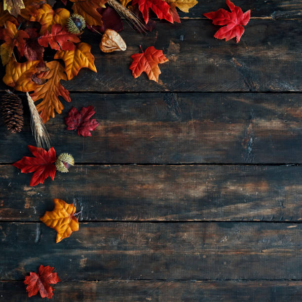 istock Autumn Decoration with Leafs on Rustic Background 1179779223