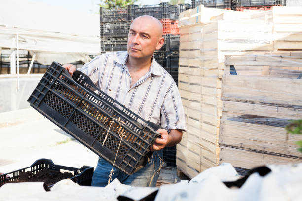 istock Farmer with organic fertilizer box 1179779557