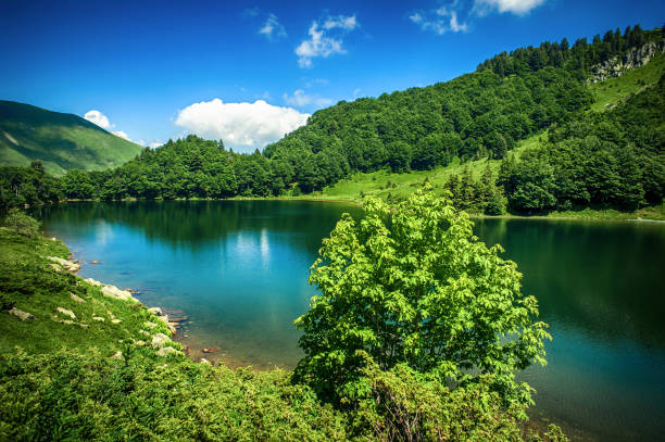 istock Panoramic view of beautiful mountain range with crystal clear lake 1179779592