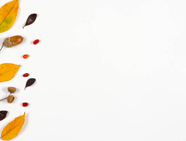 istock Autumn composition  indoor  on paper white background   Different rusty  orange  leaves and seeds on the left side   with    copy space  for text  .  Top view , , flat lay . 1179780084