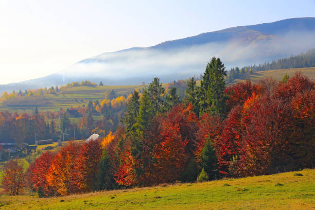 istock Autumn scene in mountains 1179781289