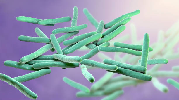 Mycobacterium leprae bacteria stock photo