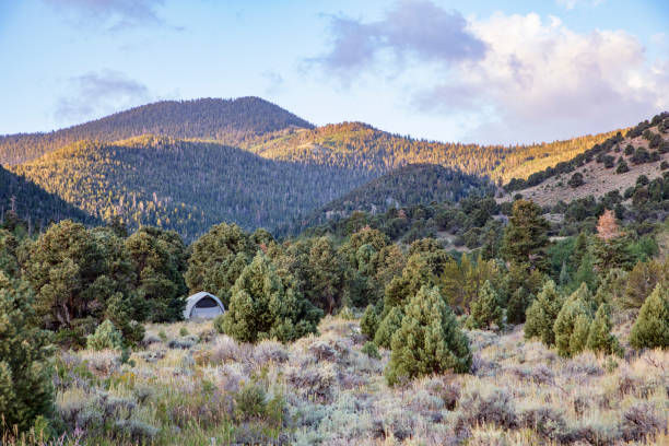 Morning has broken over one of the Great Basin National Park camping sites Morning has broken over one of the Great Basin National Park camping sites great basin national park stock pictures, royalty-free photos & images