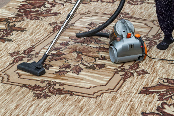 istock Woman vacuums carpet palace 1179786021