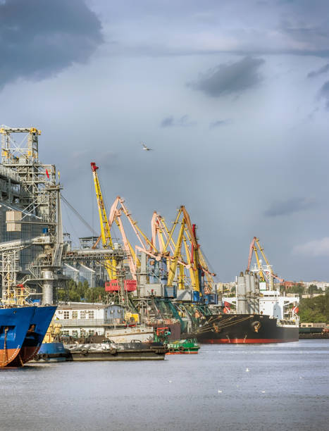 istock Elevating complex for transshipment of grain and oilseeds as part of a reloading terminal. Transportation of agricultural products and port cranes - Image 1179789352
