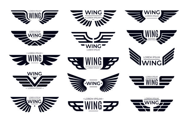 Wings badges. Flying emblem, eagle bird wing and winged frame vector set Wings badges. Flying emblem, eagle bird wing and winged frame. Aviation pilot patch badge, army insignia emblem or biker logotype sticker. Isolated vector icons set air vehicle stock illustrations