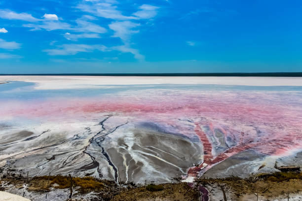 istock Salt lagoon,Dunaliella 1179791098