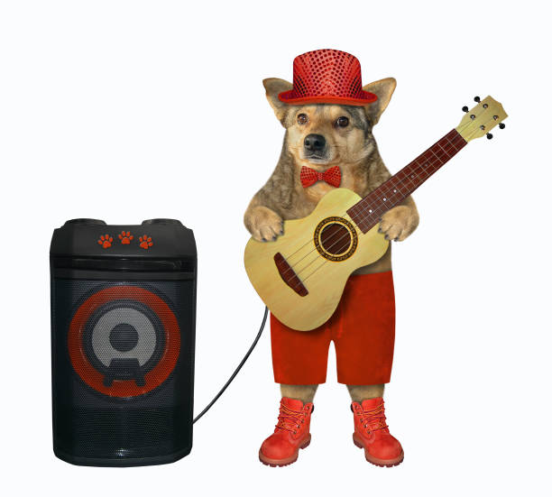 istock Dog in red shorts plays guitar 2 1179791128