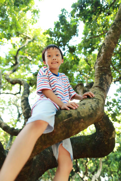 istock The child uses a telescope on a tree 1179791667