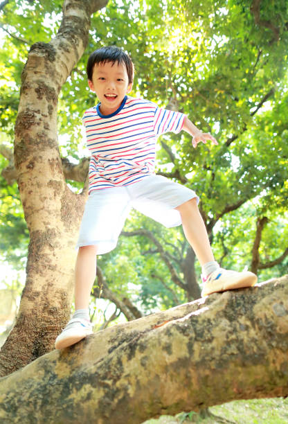 The child uses a telescope on a tree