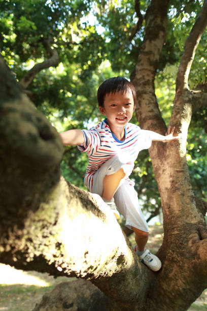 istock The child uses a telescope on a tree 1179791703
