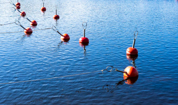 istock Red buoys on the sea waves 1179791943