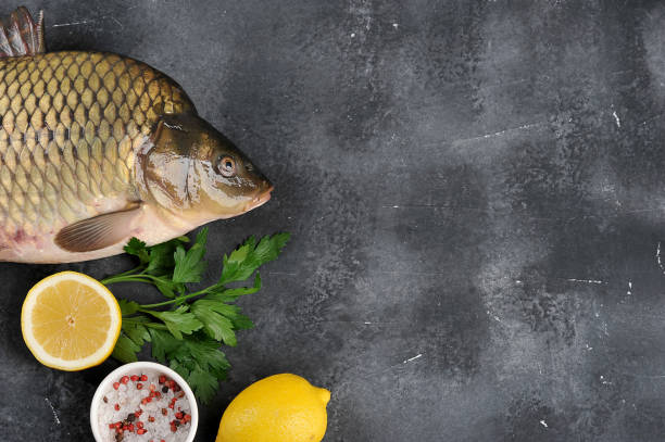 istock Raw carp on a dark surface. Products concept for the festive table. 1179792459